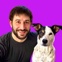 Shane(@DogTrainerShane) 's Twitter Profile Photo