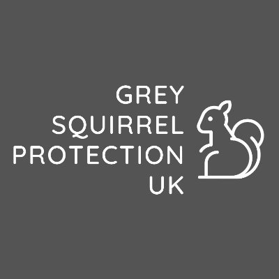 Grey Squirrel Protection UK is a new grey squirrel non-profit organisation, campaigning for changes in the law & against the persecution of these animals.