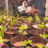 Agricultural Biotechnology (@abccusda) 's Twitter Profile