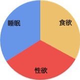 「三大欲求」とは何か？ 「三大欲求」として日本で最もポピュラーなのが、「睡眠欲」「食欲」「性欲」。 人間の生理的な欲求です。 またアメリカの心理学者が提唱するERG理論では「生存」「関係」「成長」を「三大欲求」とするという説もあります。