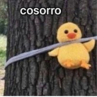 CeCe (@enanismd) 's Twitter Profile