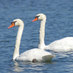 LakelandFlorida.net (@lkldflorida) Twitter profile photo LakelandFlorida.net (@lkldflorida) Twitter profile photo