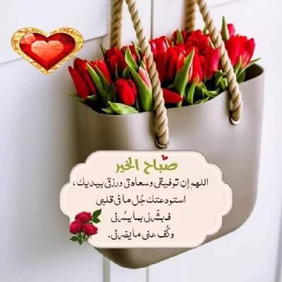 bntsna98559044's profile picture. .......