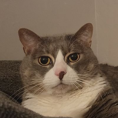 LEMH_physics's profile picture. Dr. in Physics, born and raised in Venezuela. Fighting game is something so great. ENG/ESP