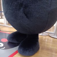 ソデム (@sodemu48) 's Twitter Profile