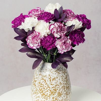 MariesGibs88572's profile picture. 