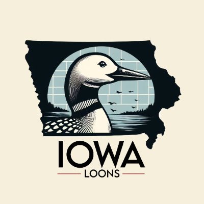 @MNUFC supporter living in Iowa. Go Loons! #MNUFC #COYL