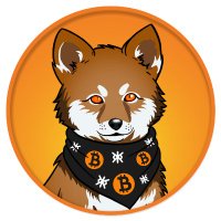 LOBO•THE•WOLF•PUP (@lobothewolfpup) 's Twitter Profile Photo LOBO•THE•WOLF•PUP (@lobothewolfpup) 's Twitter Profile Photo