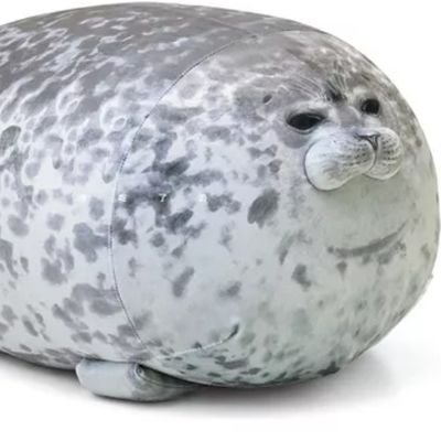 una imagen de una foca bien guatona