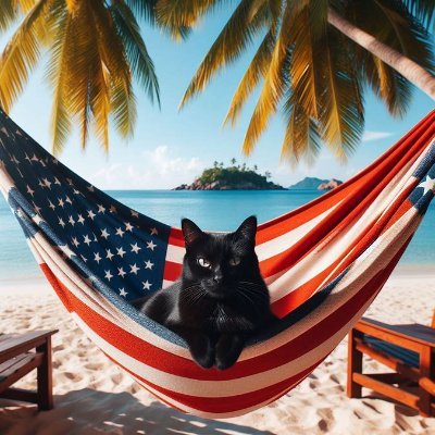 Retired Military Male Maga Cat (TRUMP 2024)