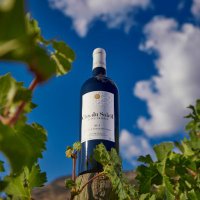 Clos du Soleil (@closdusoleil) 's Twitter Profile