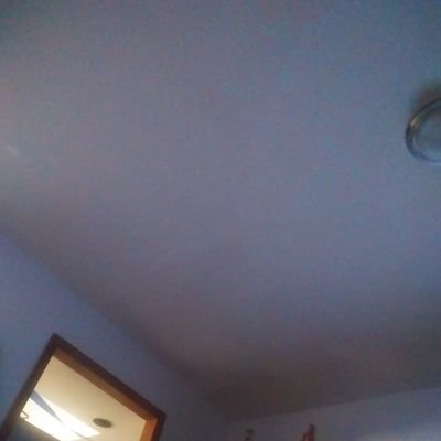 gerardo96213995's profile picture. 
