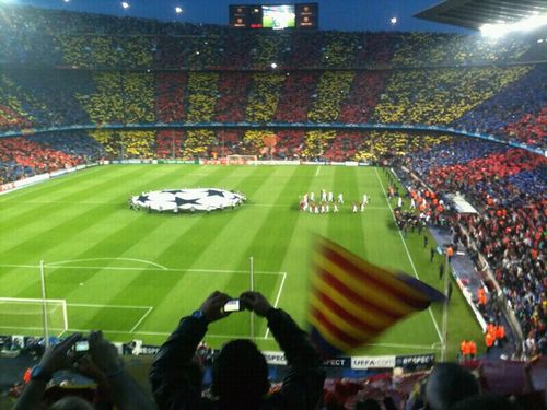 Txemacule's profile picture. 