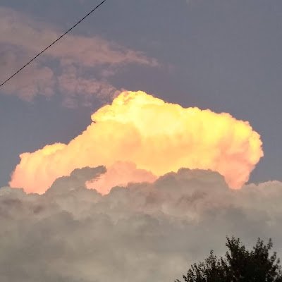 mrneako41549's profile picture. 