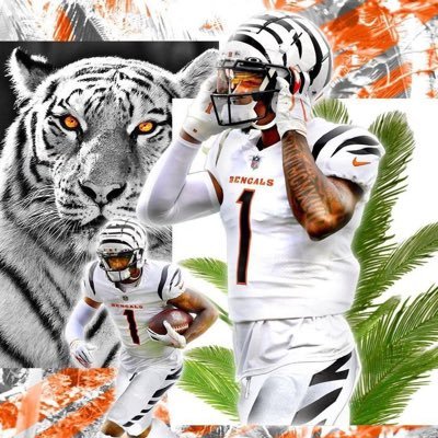 WhoDeyNoonan🐅