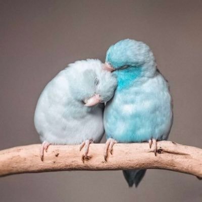 dndona2389's profile picture. كلامُنا يُمثِّلُنا .. و فِهمِكم يُمثِّلكم ☕️😴 ————— الخاص .. 🔕