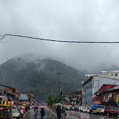 themusafer's profile picture. Afala ta'qilun?' –
'Will you not use your intellect?'.