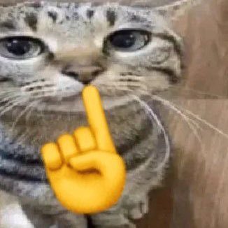 bbctw1nk's profile picture. 