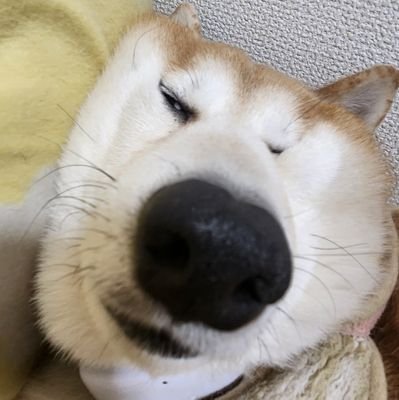 @nuleung222