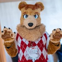 🐻Hunkuma & Mido🦅 🔜🇹🇭SiamPaws (@hunkuma_fur) 's Twitter Profile