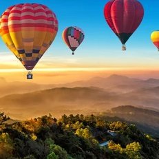 quintty6558's profile picture. 