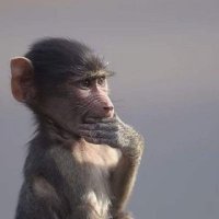K (@thatqay) 's Twitter Profile
