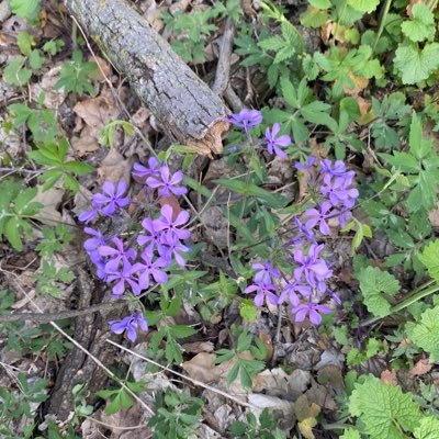 luv_kenz4's profile picture. 