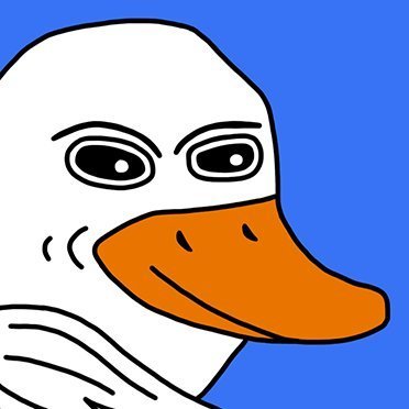 $GOOSE. Meme on #BASE, the most memeable Goose in the world.