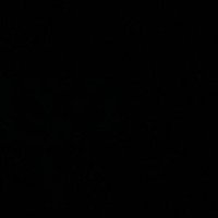 Elijah Herring (@elijahherring12) 's Twitter Profile