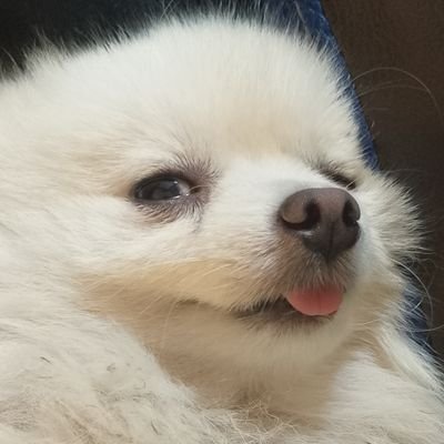 PraunThomas's profile picture. 