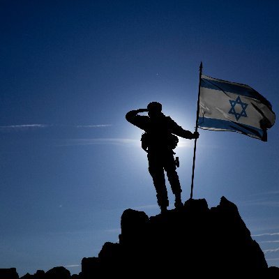Not here for the follows, here to spread the truth and demand the right to exist. 🇮🇱💪🏻❤️🙏🏻🟦🎗️