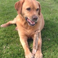 Colin Hardy (@waleswntupdates) 's Twitter Profile