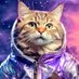 space cat - b/acc (@cat_upgrades) Twitter profile photo