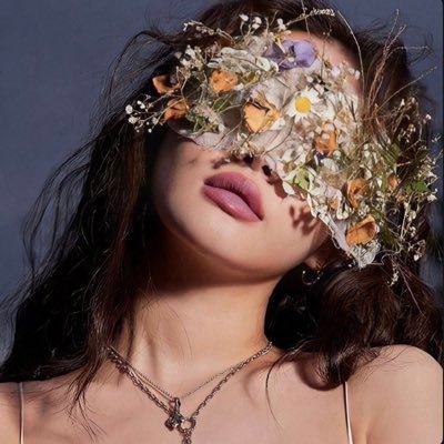 no4_msh's profile picture. 