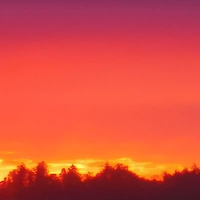 NikhilM13963007's profile picture. 100