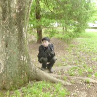fōssa (@doggyfossa) 's Twitter Profile Photo fōssa (@doggyfossa) 's Twitter Profile Photo