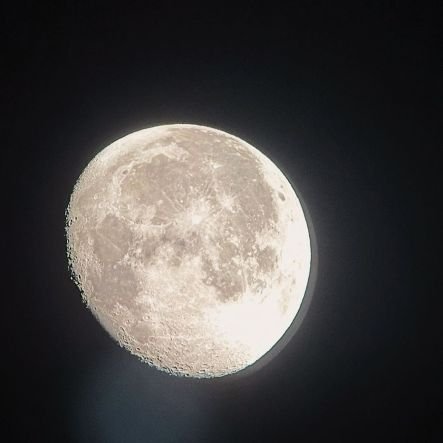 holzmannner7's profile picture. de boca como Román.                         • 777