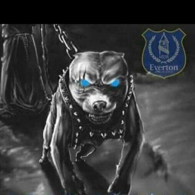 Everton_clown Profile Picture