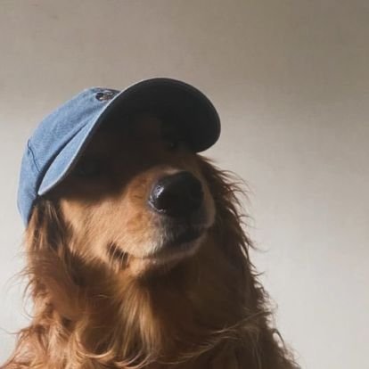 edoycm's profile picture. ʰᵃᵖᵖⁱᵉˢᵗ ⁱⁿ ᵐʸ ᵒʷⁿ ᵖʳⁱᵛᵃᵗᵉ ᵘⁿⁱᵛᵉʳˢᵉ