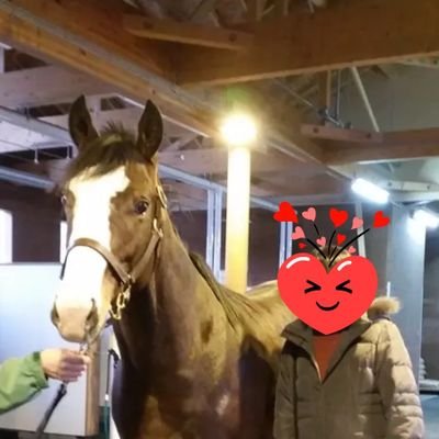 ゆたこ🏇 (@toyo1020uma) / X ゆたこ🏇 (@toyo1020uma) / X