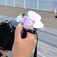 のまる【カメラ用】 (@noma_camera) Twitter profile photo