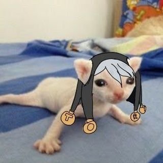 lily666013's profile picture. 23 intj