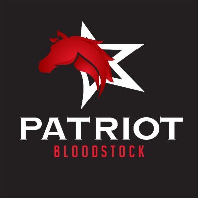 Patriot_BldStk Profile Picture