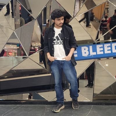 itsshreyash_nft's profile picture. Junior @iitroorkee