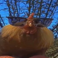 Yulex (@yulextr) 's Twitter Profile Photo Yulex (@yulextr) 's Twitter Profile Photo