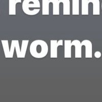 Vizz (@vizz49988) 's Twitter Profile