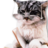 FactsCat's profile image