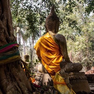 sumedh_wahewal's profile picture. Mbbs students @Dr Vmgmc Solapur