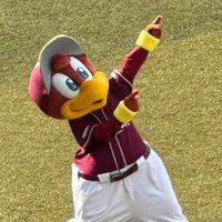 埼玉の鷲ファン (@kai_eagles51) Twitter profile photo