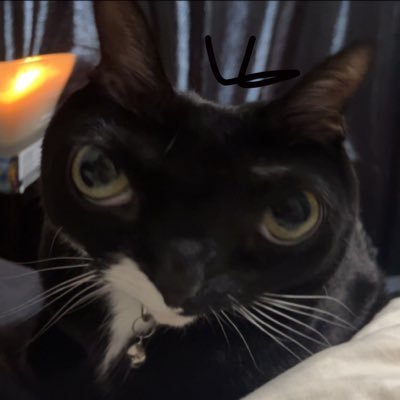 wrigsome's profile picture. 